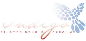logo_Indigo_white_transp_350